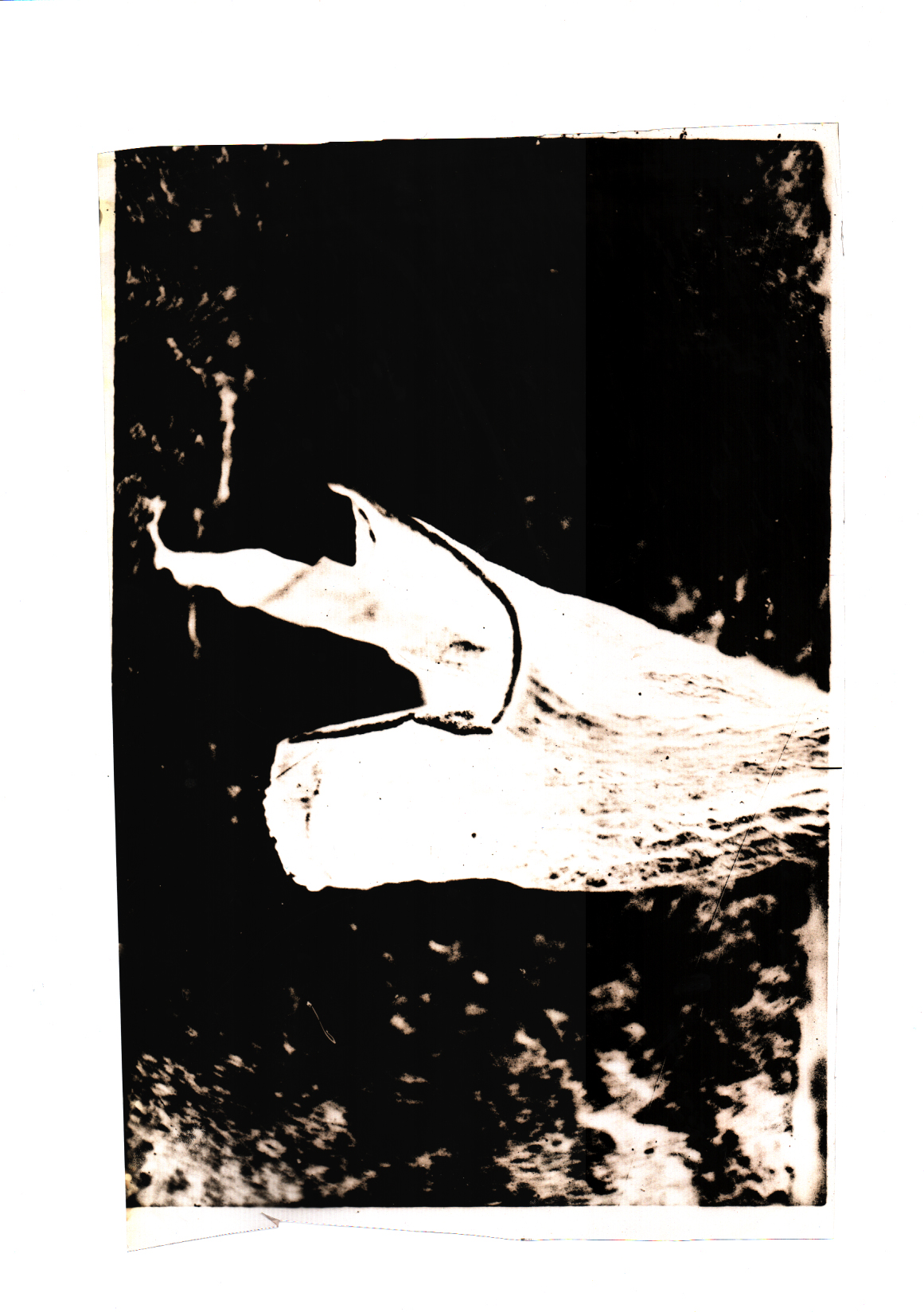 2019-03-24 Entwicklungsarbeit